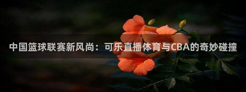 中国篮球联赛新风尚：可乐直播体育与CBA的奇妙碰撞