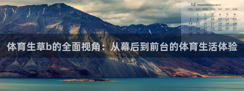 体育生草b的全面视角：从幕后到前台的体育生活体验