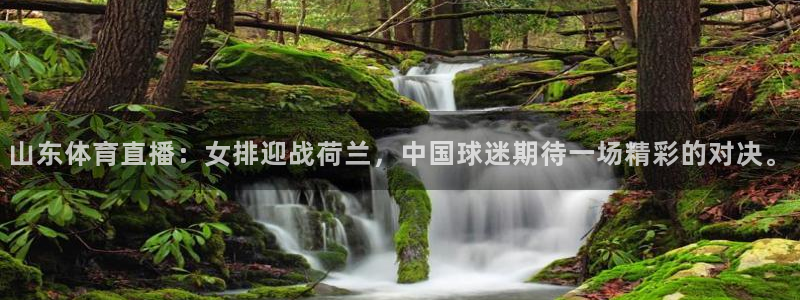 山东体育直播：女排迎战荷兰，中国球迷期待一场精彩的对决。