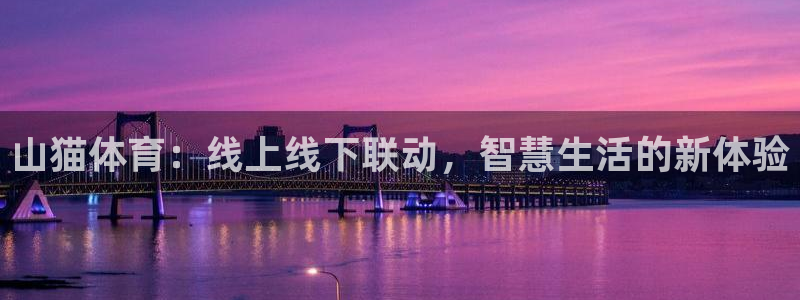 山猫体育：线上线下联动，智慧生活的新体验
