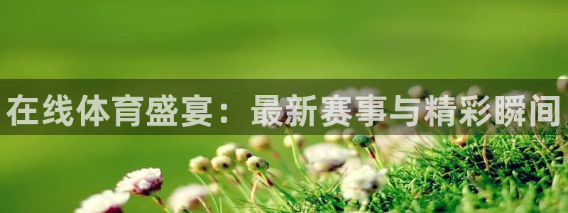 在线体育盛宴：最新赛事与精彩瞬间