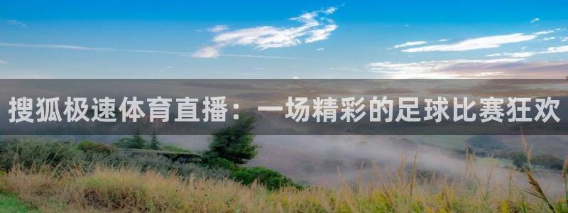 搜狐极速体育直播：一场精彩的足球比赛狂欢