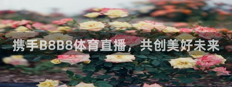 携手B8B8体育直播，共创美好未来