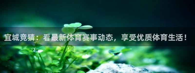 宜城竞猜：看最新体育赛事动态，享受优质体育生活！
