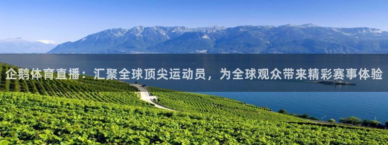 企鹅体育直播：汇聚全球顶尖运动员，为全球观众带来精彩赛事体验