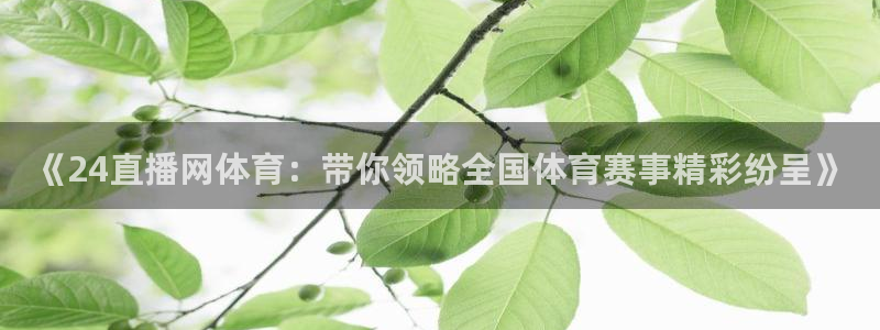 《24直播网体育：带你领略全国体育赛事精彩纷呈》