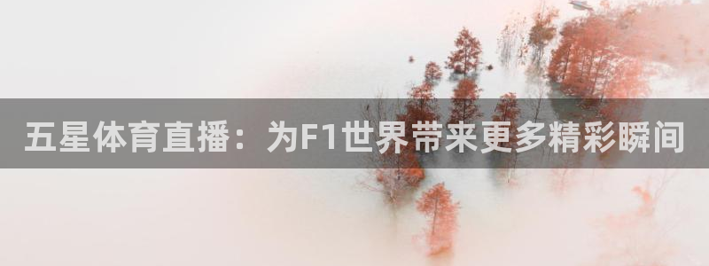 五星体育直播：为F1世界带来更多精彩瞬间