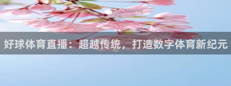 好球体育直播：超越传统，打造数字体育新纪元
