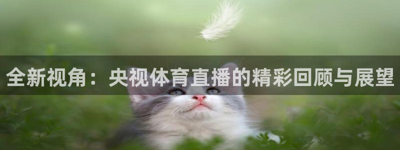 全新视角：央视体育直播的精彩回顾与展望