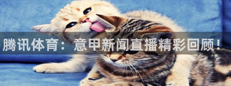 腾讯体育：意甲新闻直播精彩回顾！