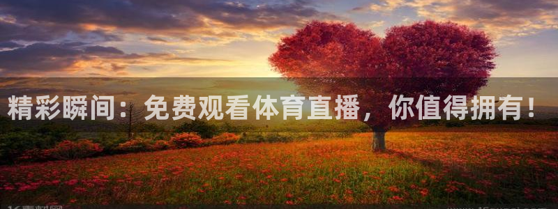 精彩瞬间：免费观看体育直播，你值得拥有！