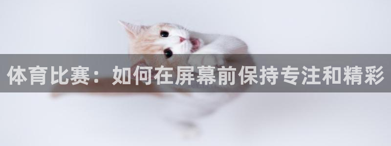 体育比赛：如何在屏幕前保持专注和精彩