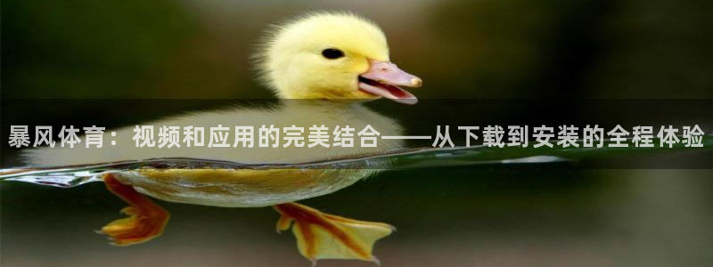 暴风体育：视频和应用的完美结合——从下载到安装的全程体验