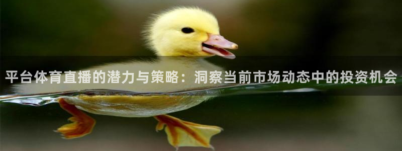 平台体育直播的潜力与策略：洞察当前市场动态中的投资机会