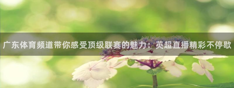 广东体育频道带你感受顶级联赛的魅力：英超直播精彩不停歇