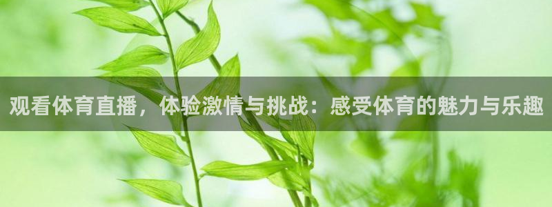 观看体育直播，体验激情与挑战：感受体育的魅力与乐趣
