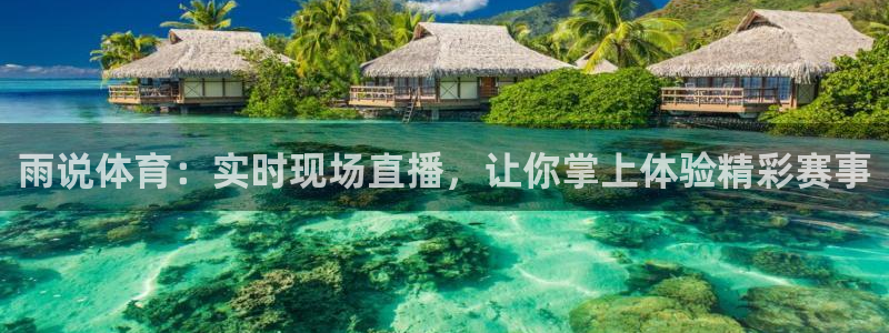 雨说体育：实时现场直播，让你掌上体验精彩赛事