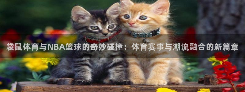 袋鼠体育与NBA篮球的奇妙碰撞：体育赛事与潮流融合的新篇章