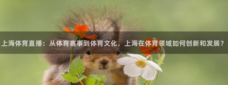 上海体育直播：从体育赛事到体育文化，上海在体育领域如何创新和发展？