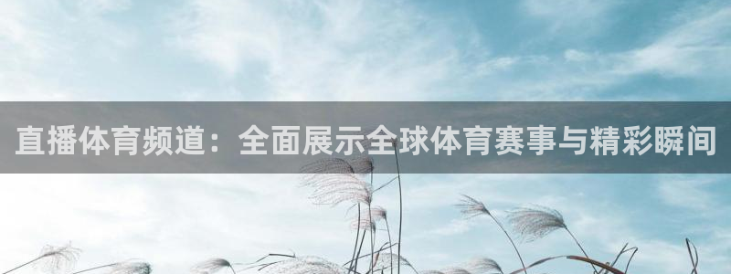直播体育频道：全面展示全球体育赛事与精彩瞬间