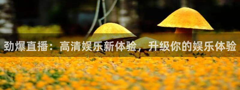 劲爆直播：高清娱乐新体验，升级你的娱乐体验