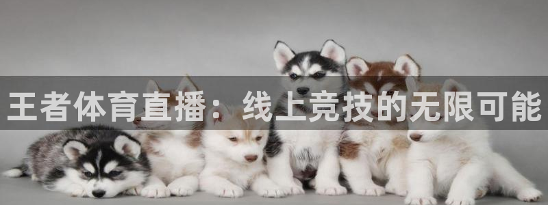 王者体育直播：线上竞技的无限可能