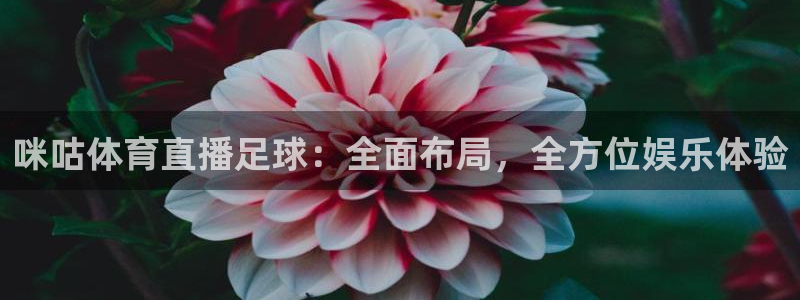 咪咕体育直播足球：全面布局，全方位娱乐体验
