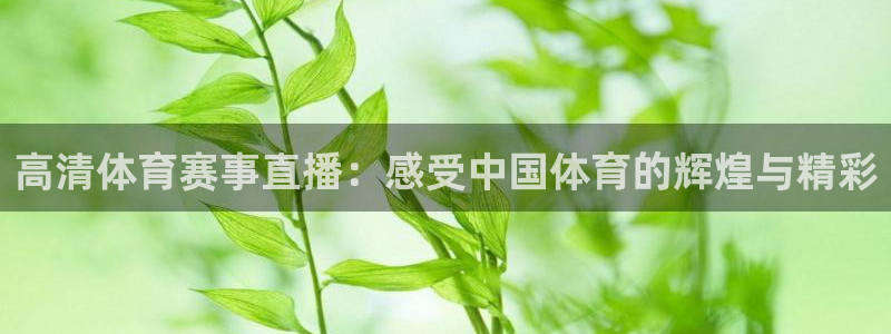 高清体育赛事直播：感受中国体育的辉煌与精彩