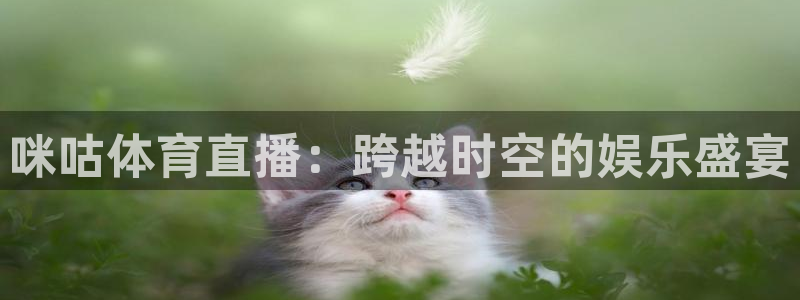 咪咕体育直播：跨越时空的娱乐盛宴